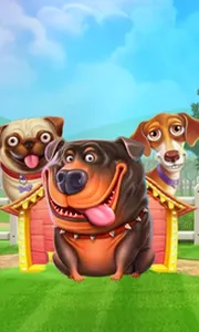 The Dog House